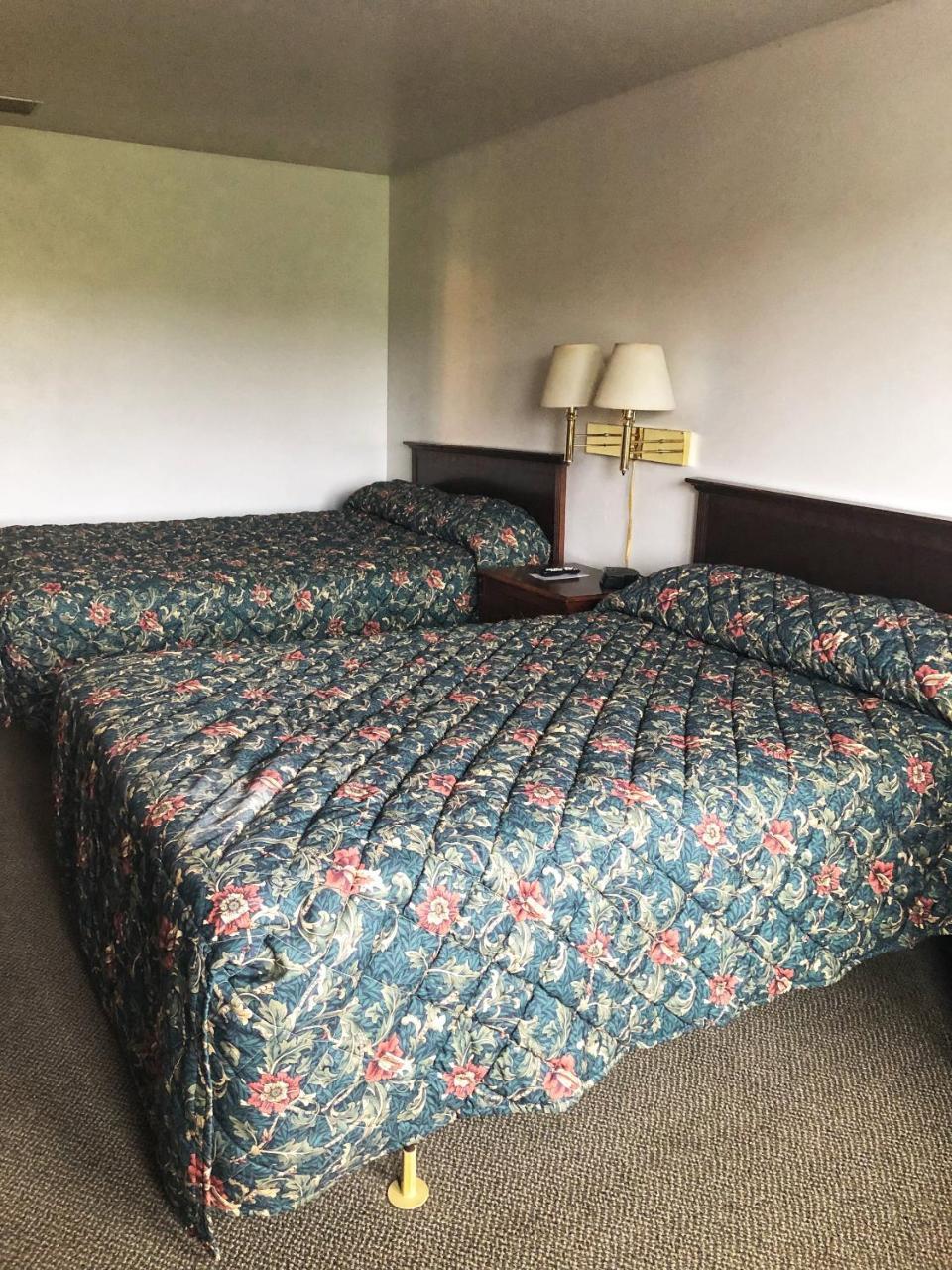 Neva Jean Motel Marshfield Ngoại thất bức ảnh